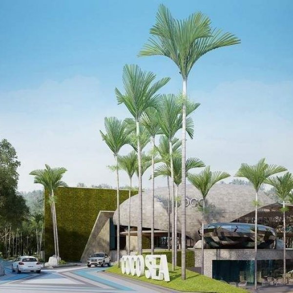 Property image - gallery 7