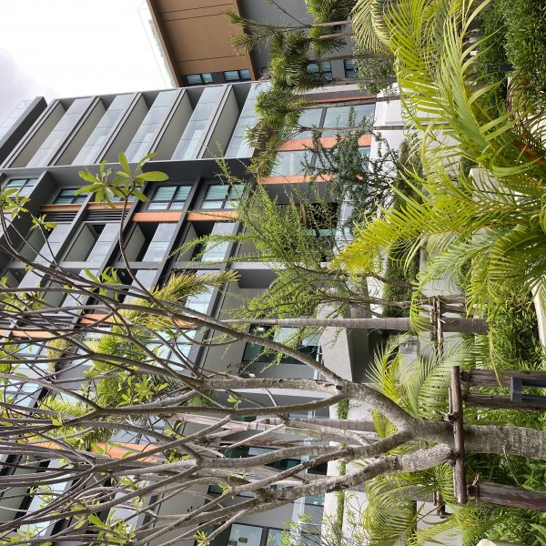 Property image - gallery 42