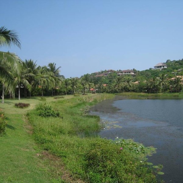 Property image - gallery 36