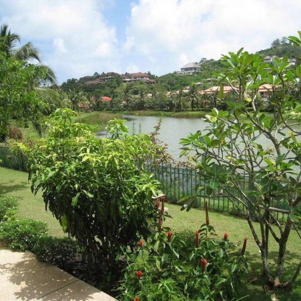 Property image - gallery 37