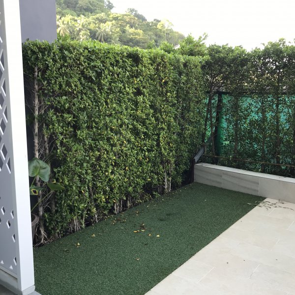 Property image - photo 2