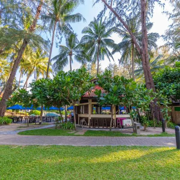 Property image - gallery 18