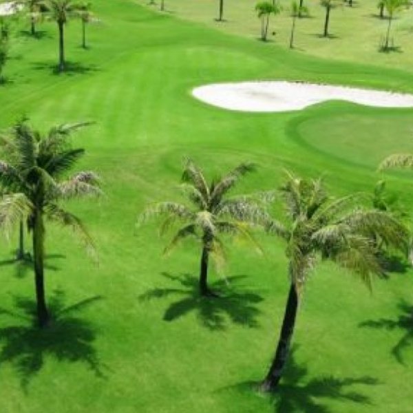 Property image - photo 5