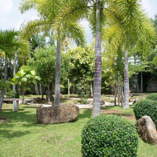 Property image - photo 4