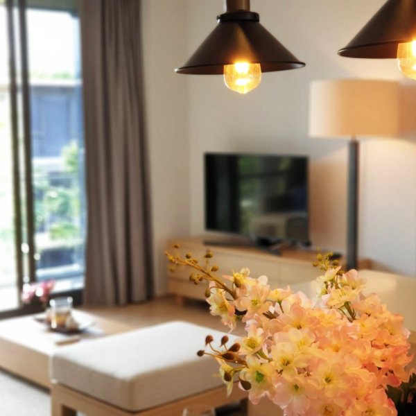 Property image - gallery 15