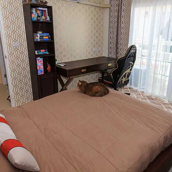 Property image - gallery 29