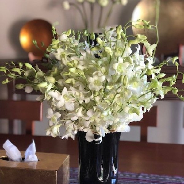 Property image - gallery 8