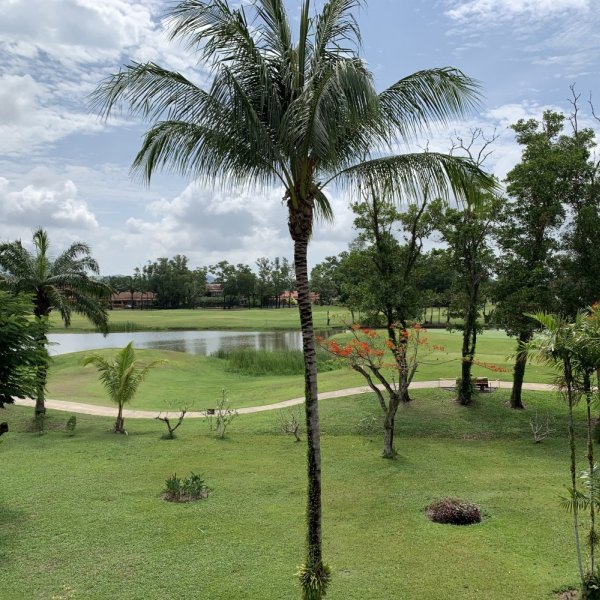 Property image - gallery 17