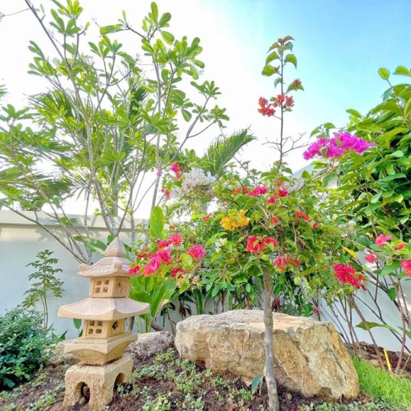 Property image - gallery 26