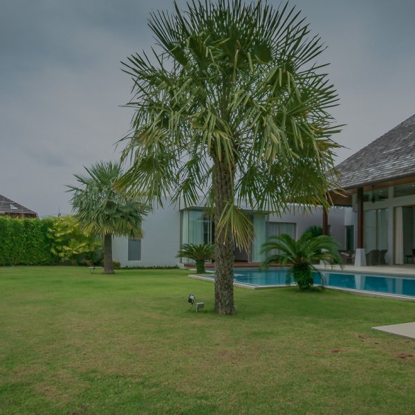 Property image - gallery 56