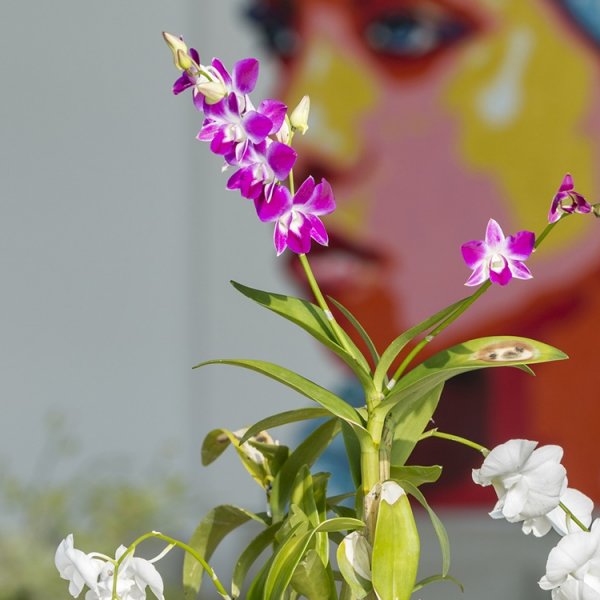 Property image - gallery 26