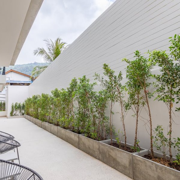 Property image - gallery 9