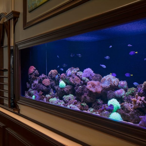 Property image - gallery 7