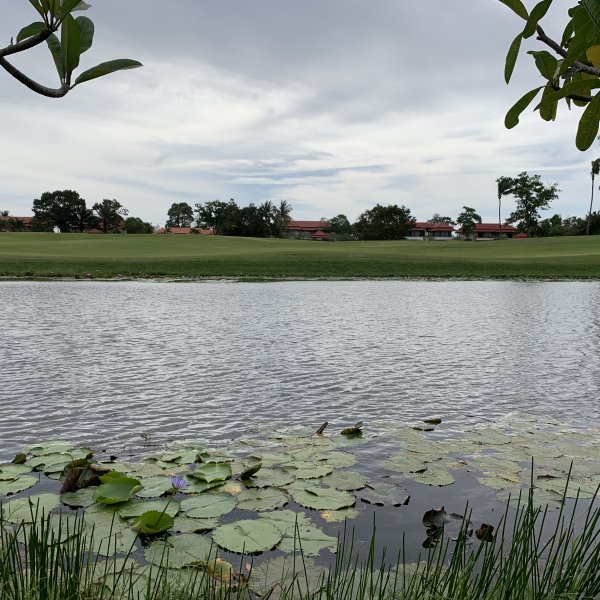 Property image - gallery 22