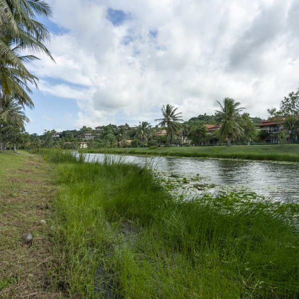 Property image - gallery 57