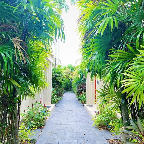 Property image - gallery 19