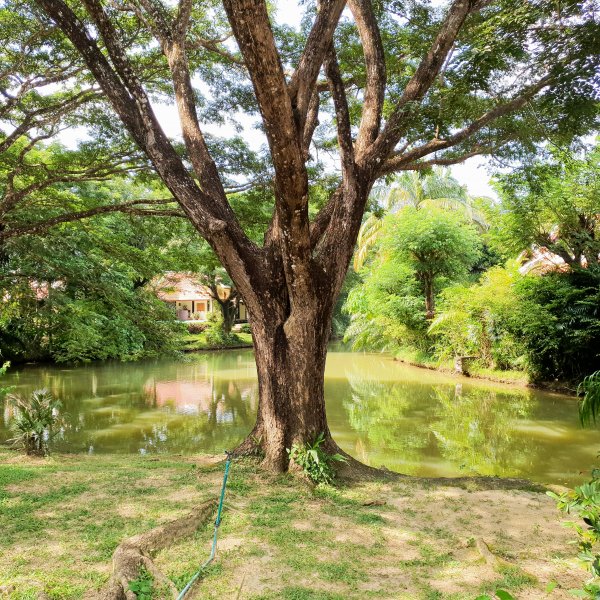 Property image - gallery 17