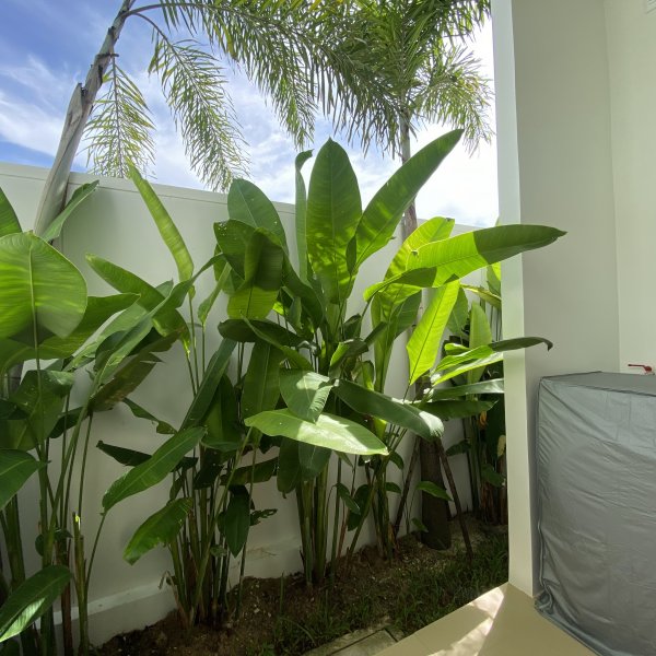 Property image - gallery 21