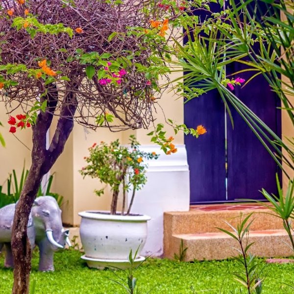 Property image - photo 3