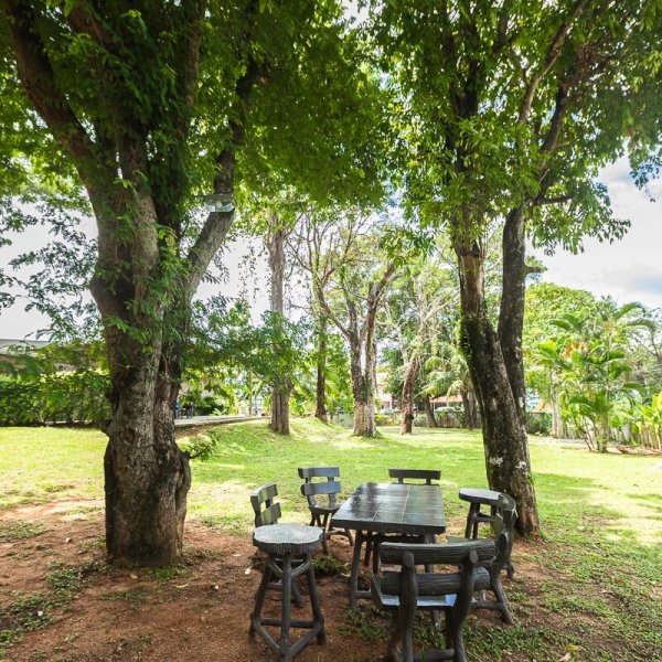 Property image - gallery 60