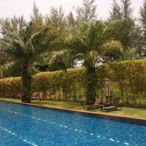 Property image - gallery 17