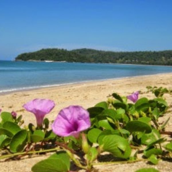 Property image - gallery 16