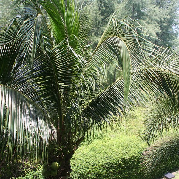 Property image - gallery 23