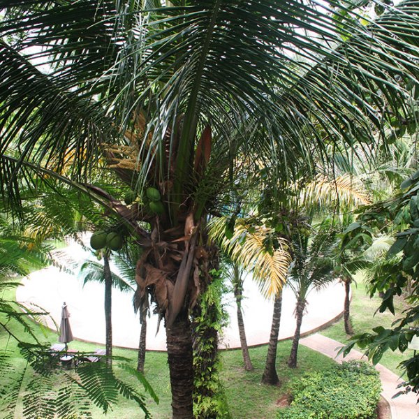 Property image - gallery 18