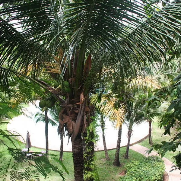 Property image - gallery 18