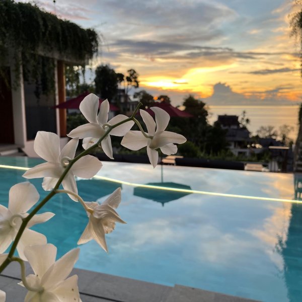 Property image - gallery 15