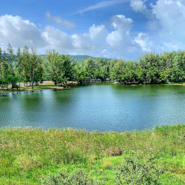 Property image - gallery 6