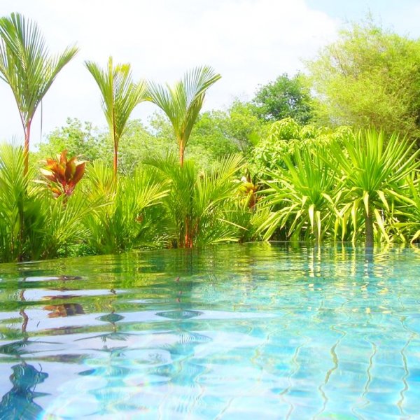 Property image - photo 5