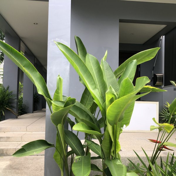 Property image - gallery 10