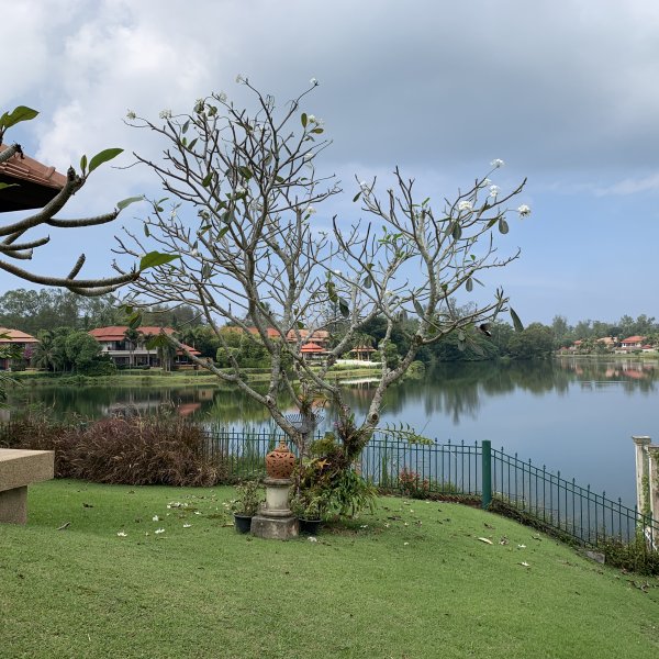 Property image - gallery 23