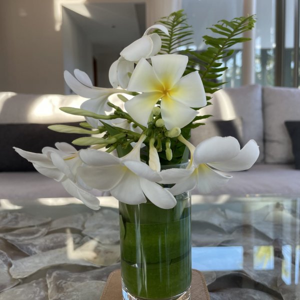 Property image - gallery 16