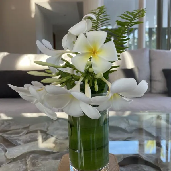 Property image - gallery 16