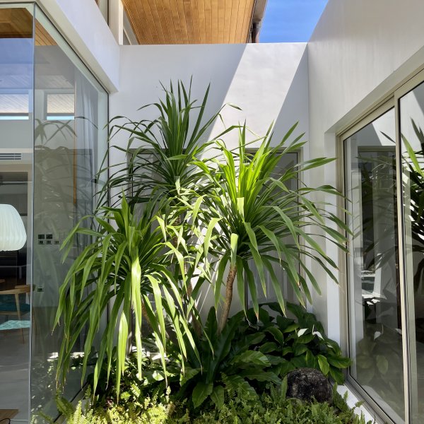 Property image - gallery 6