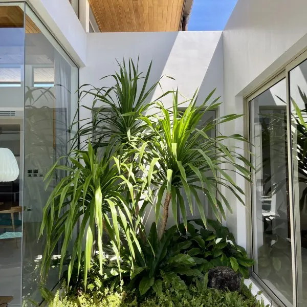 Property image - gallery 6