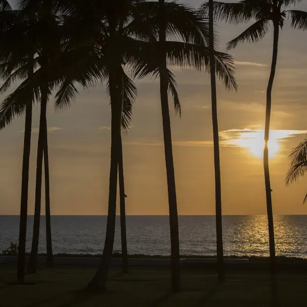 Property image - gallery 37