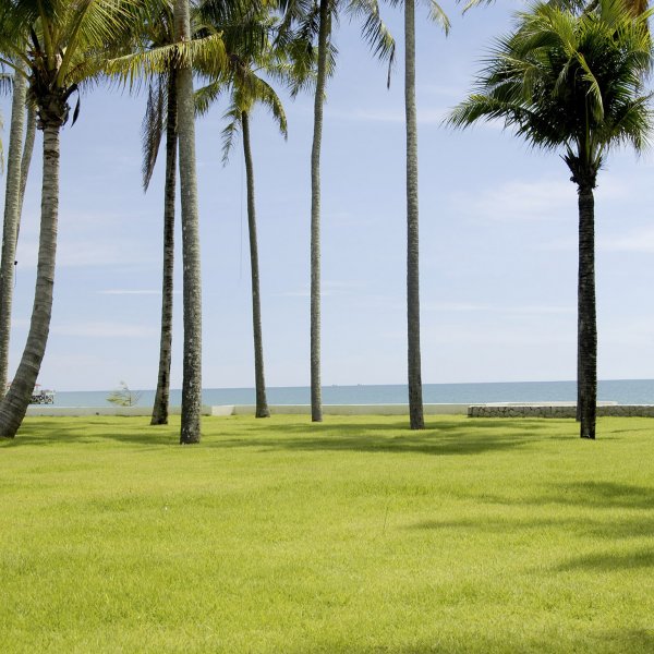 Property image - photo 3