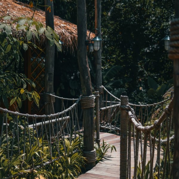 Property image - gallery 39