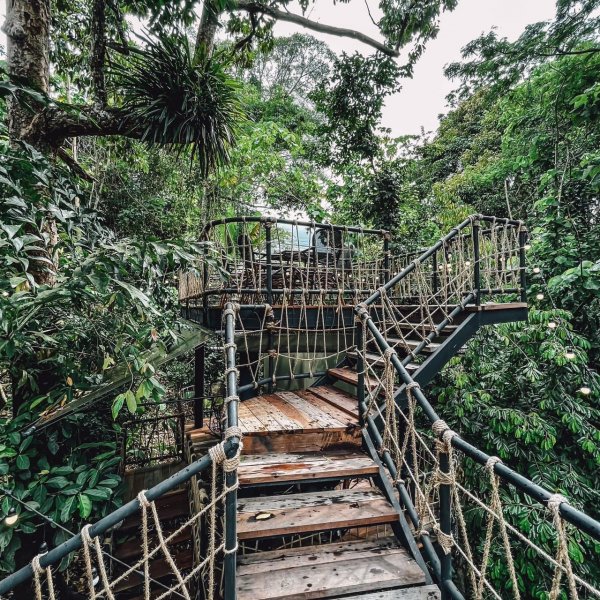 Property image - gallery 58