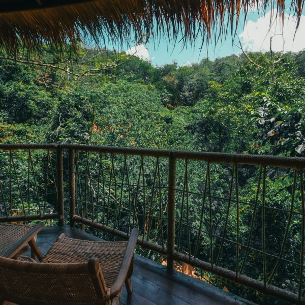 Property image - gallery 40