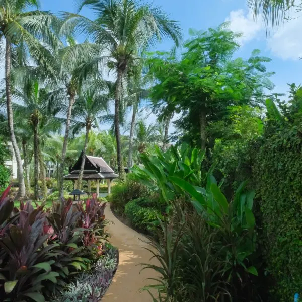 Property image - gallery 20