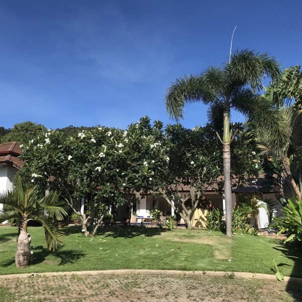 Property image - gallery 38