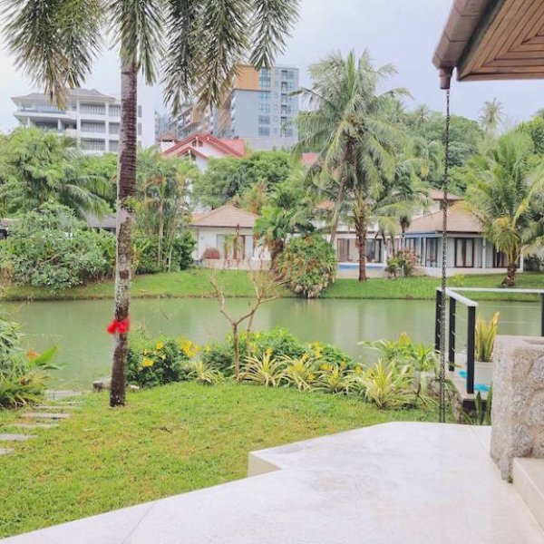 Property image - gallery 51