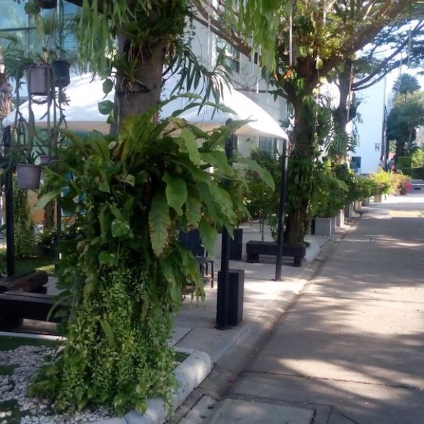 Property image - gallery 49