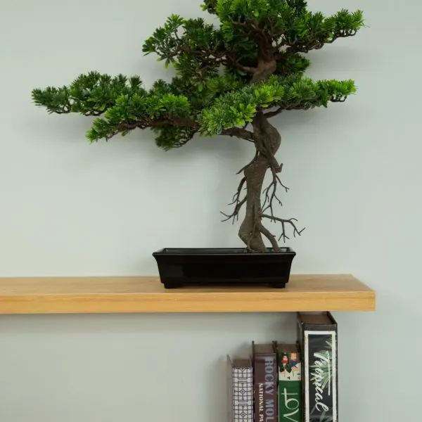 Property image - photo 3