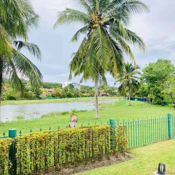 Property image - photo 2