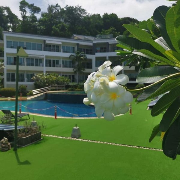 Property image - photo 2